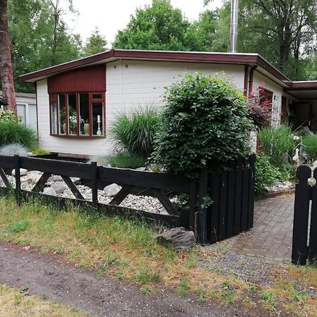 Sfeervol, Ruim En Luxe Chalet In Bosrijke Omgeving Villa Diessen Ngoại thất bức ảnh